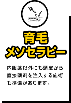 育毛メソセラピー