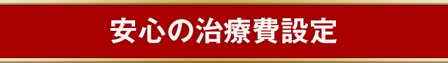 安心のAGA治療費設定